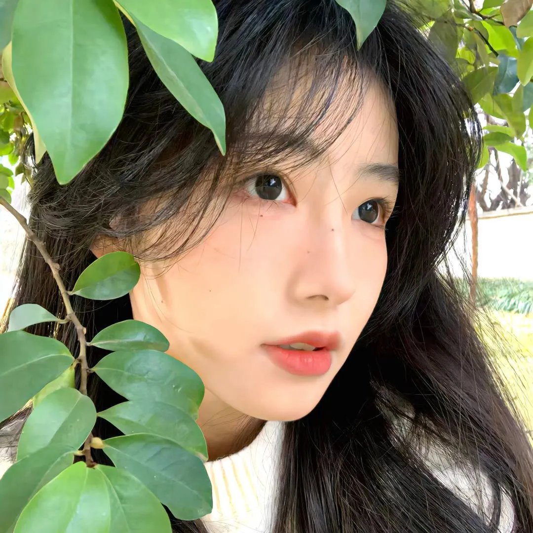 恋恋不忘的我们