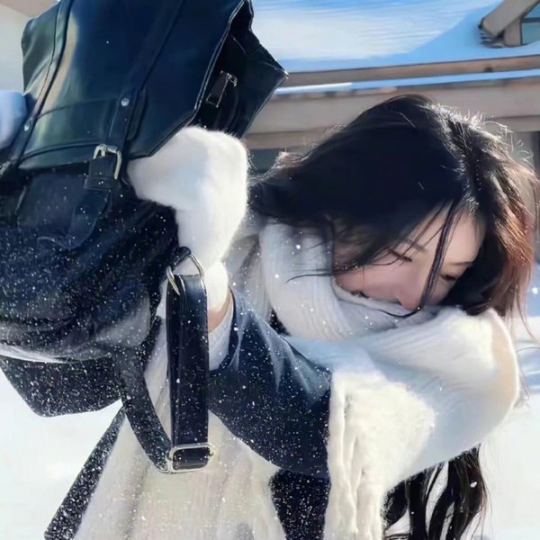鹤唳华亭